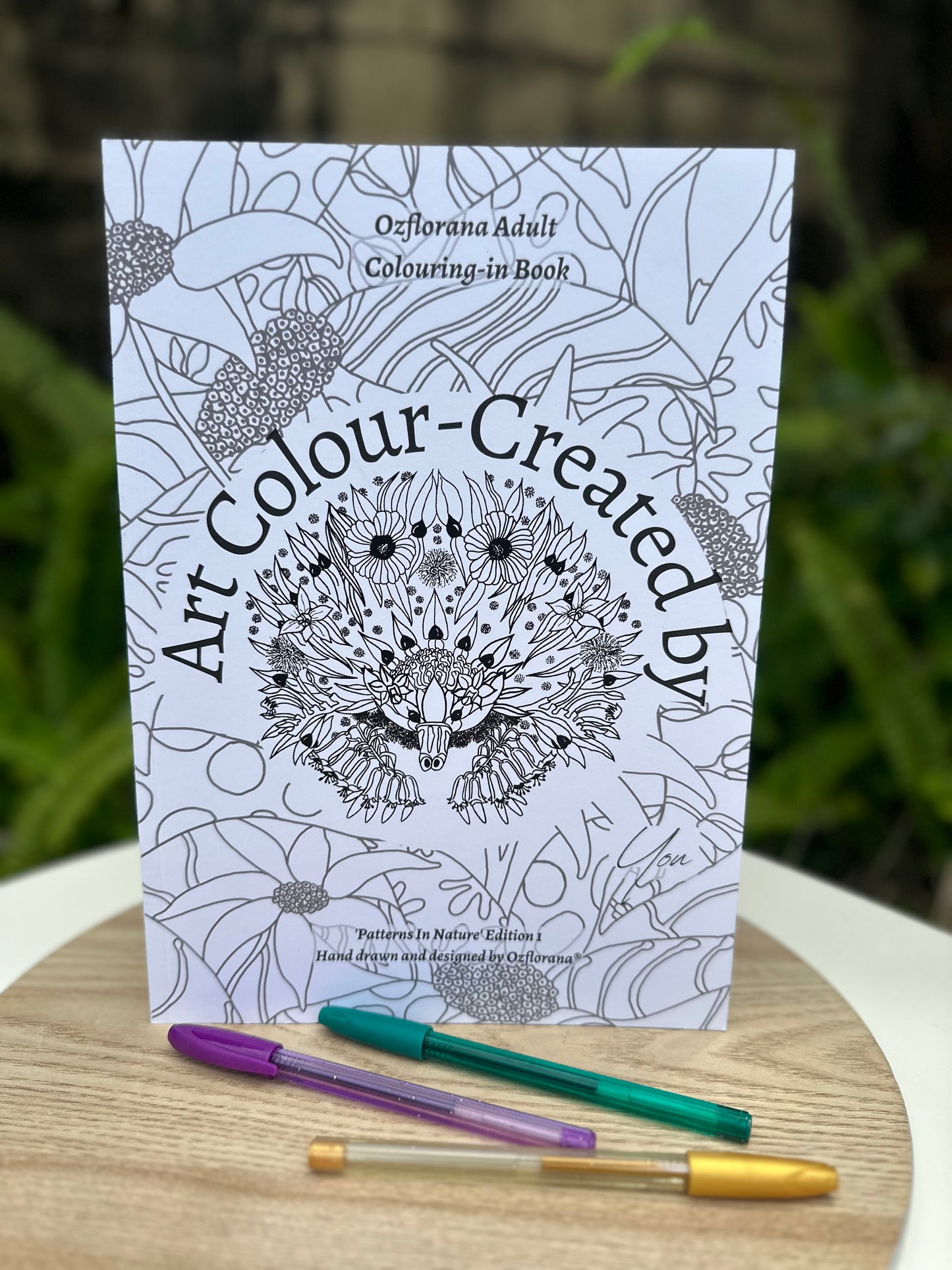 "Colour-Created By You" Book